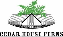 Cedar House Ferns